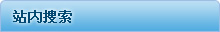 站内搜索